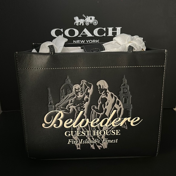 NWT Coach Belvedere Cashin Carry 22 Fire Island Graphic Leather Purse Handbag - Picture 9 of 15